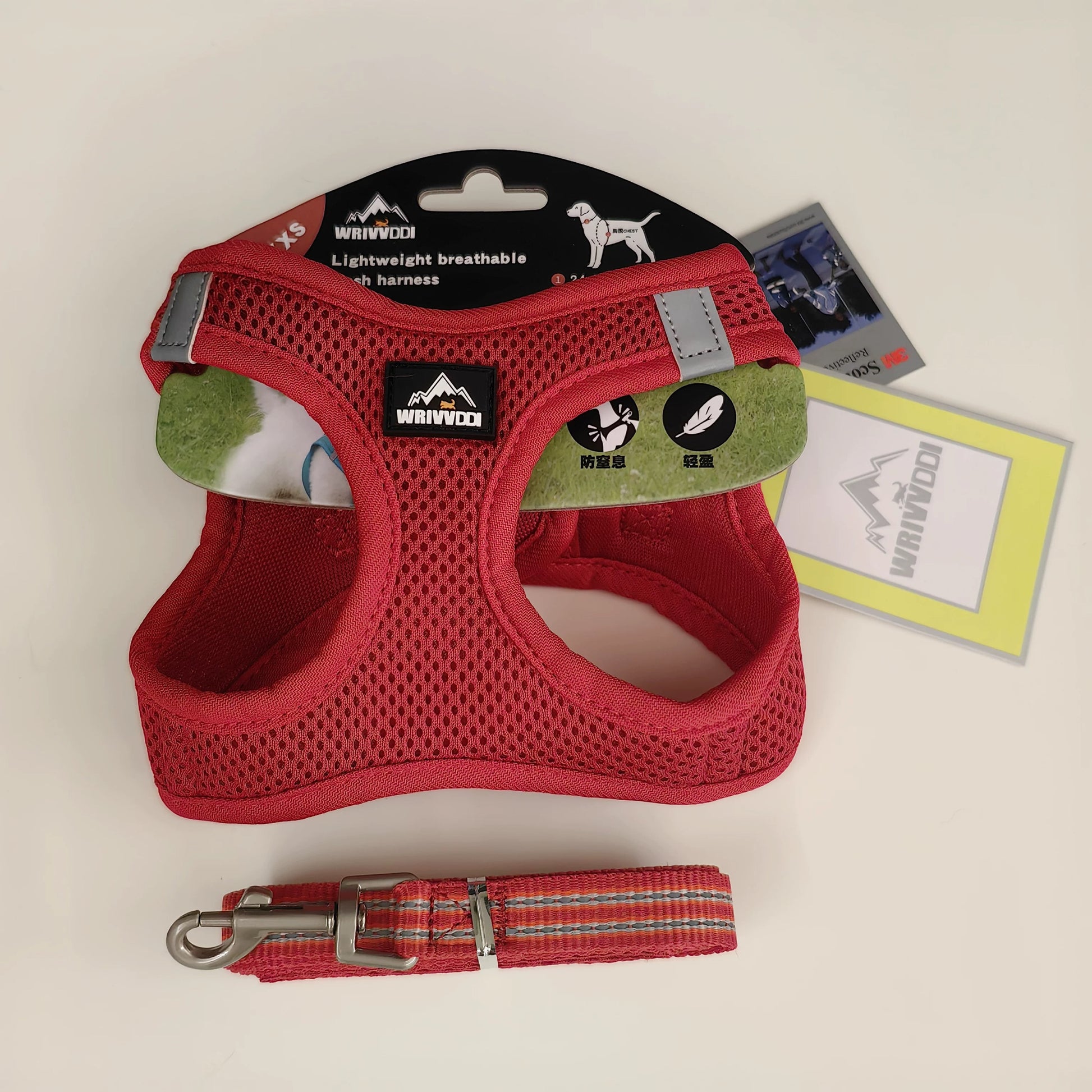 Dog and Cat Harness Set