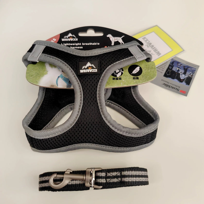 Dog and Cat Harness Set