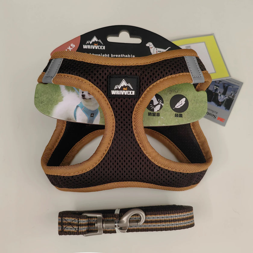 Dog and Cat Harness Set