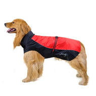 Large Rain Coat for dogs