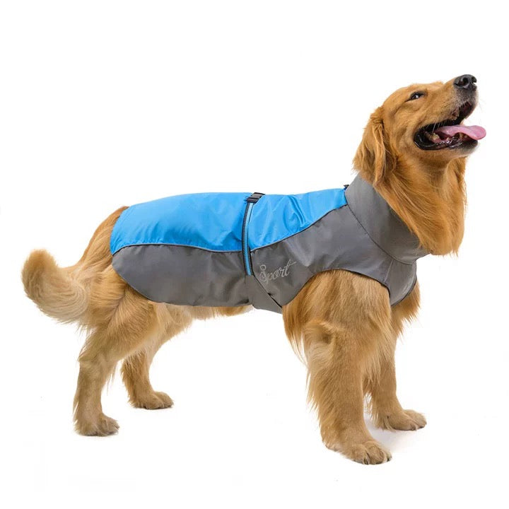 Large Rain Coat for dogs