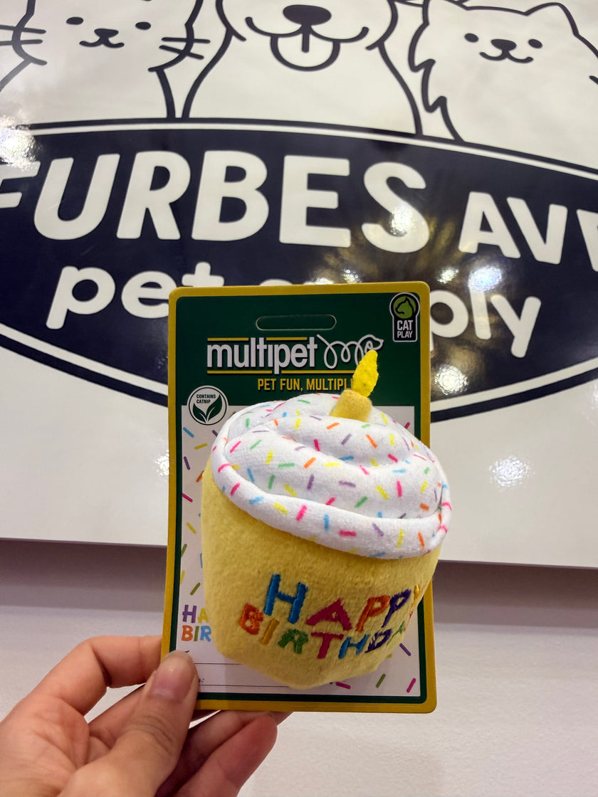 Multipet Happy Birthday Catnip Toy
