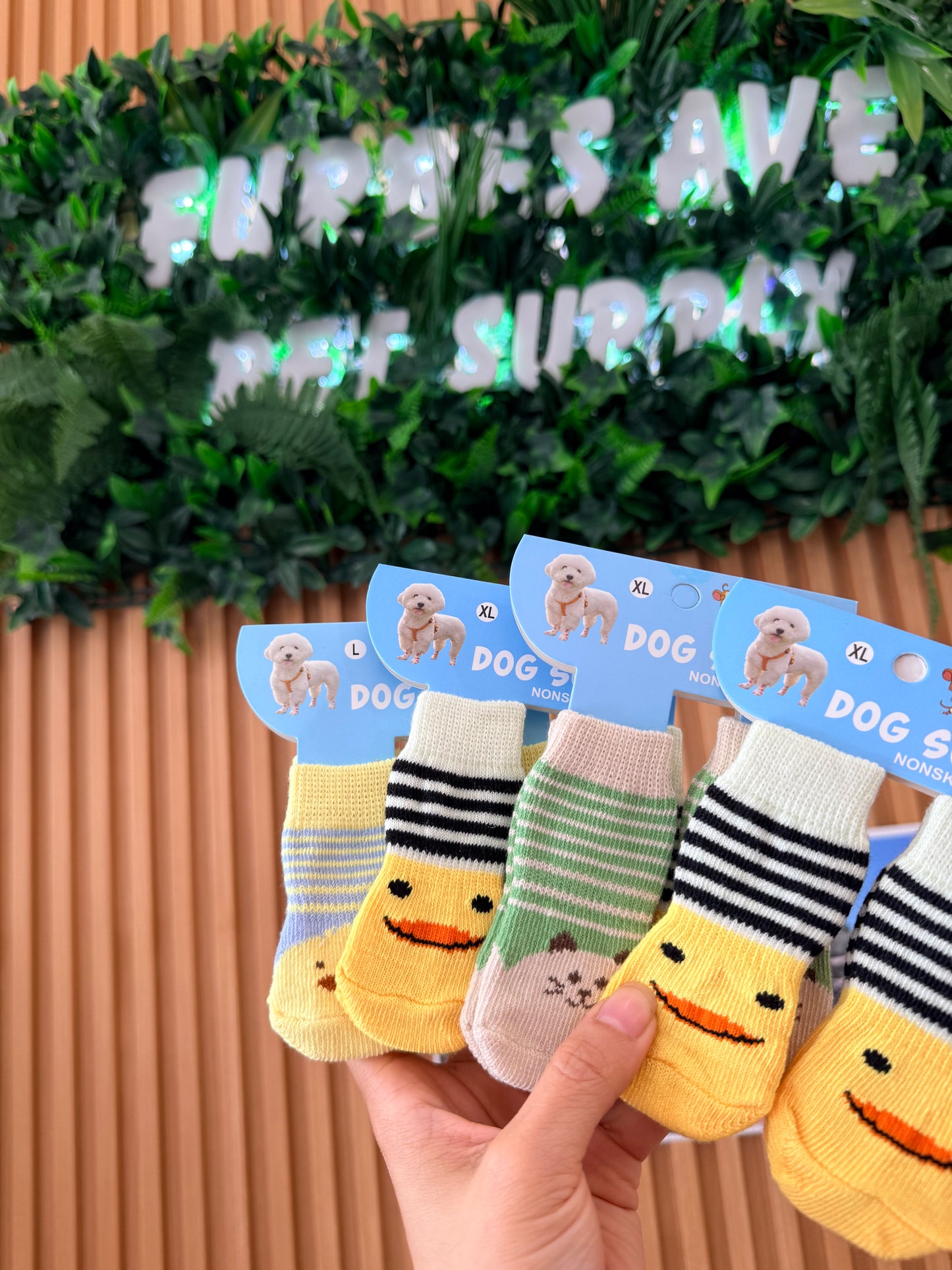Dog Socks for small dog