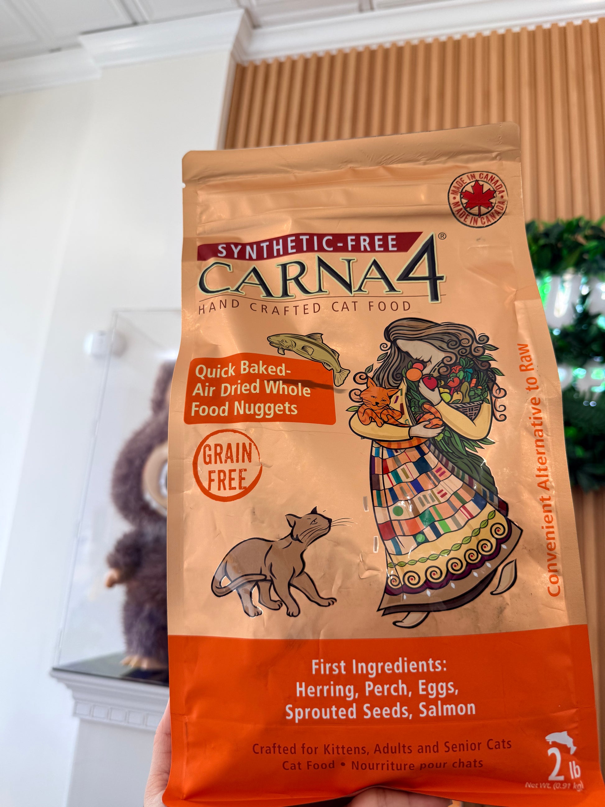 Carna4 Cat Food Grain Free Fish 2Lb
