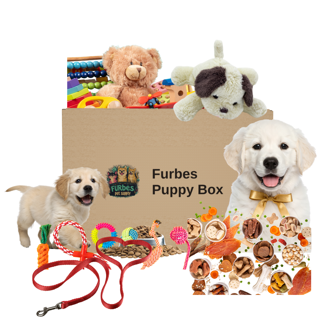 Furbes Puppy Box