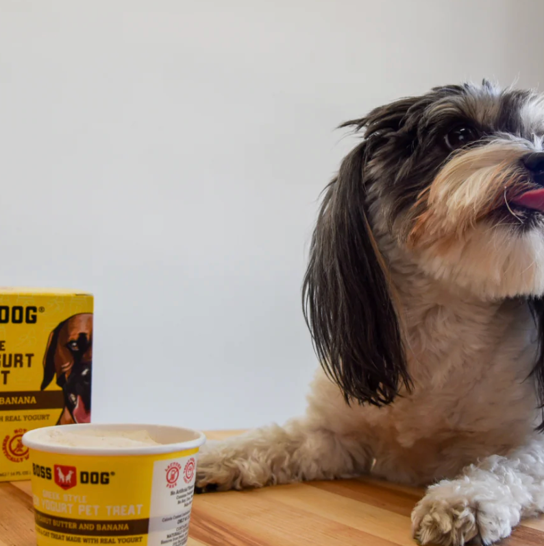 Boss Dog & Cat Greek Style Frozen Yogurt for Dogs and Cats, Frozen