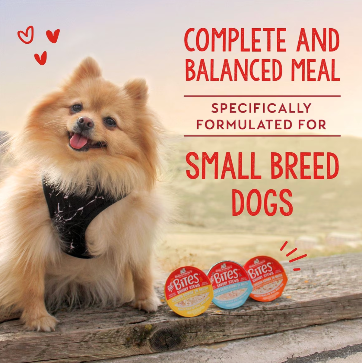 Stella & Chewy's Lil Bites Savory Stews Adult Wet Dog Food - Beef and Chicken 2.7 oz