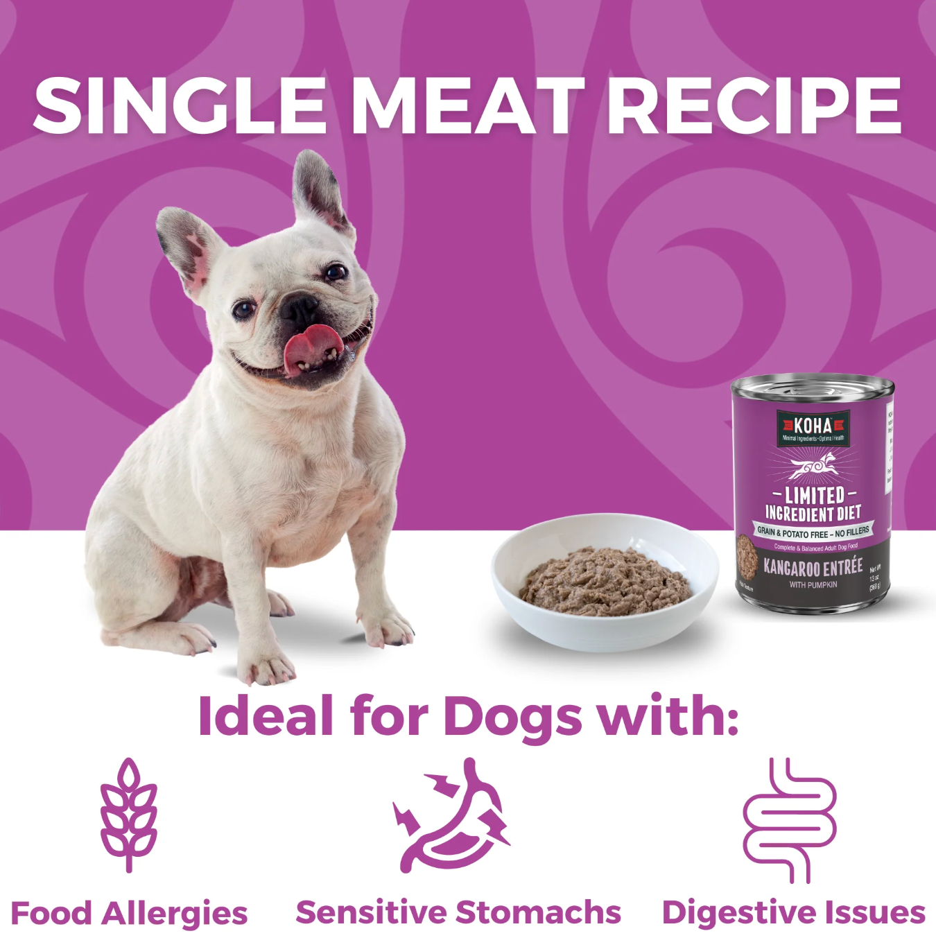 Koha Kangaroo Dog Food: Limited Ingredient Diet Kangaroo Entrée for Dogs 13 oz Can