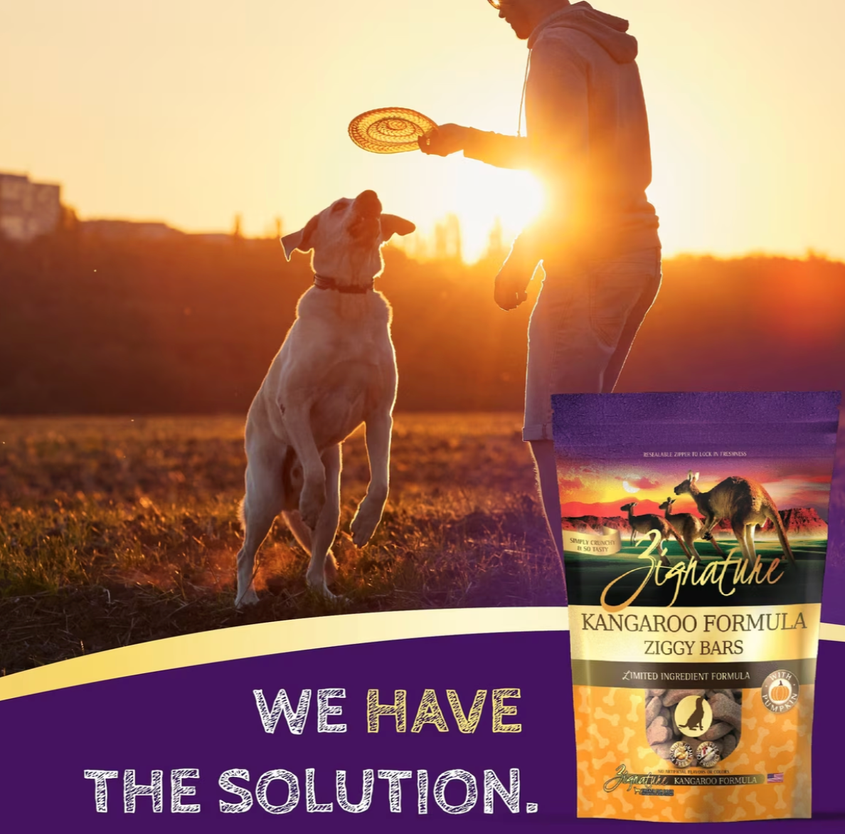 Zignature Kangaroo Formula Ziggy Bars Biscuit Dog Treats, 12-oz bag