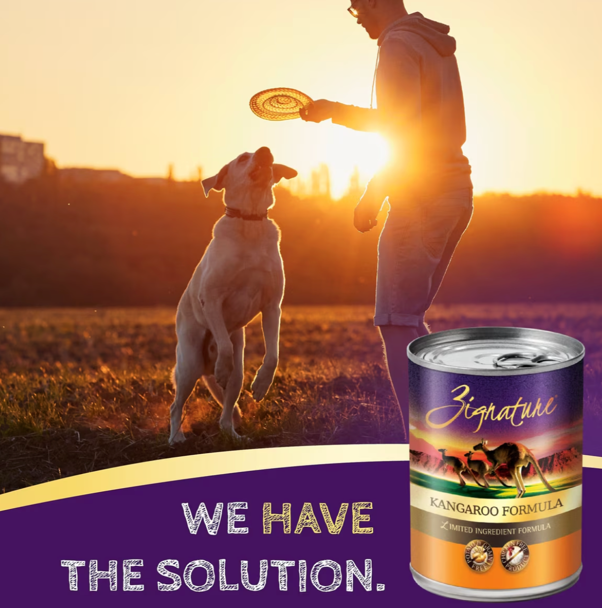 Zignature Kangaroo Limited Ingredient Formula Canned Dog Food, 13-oz