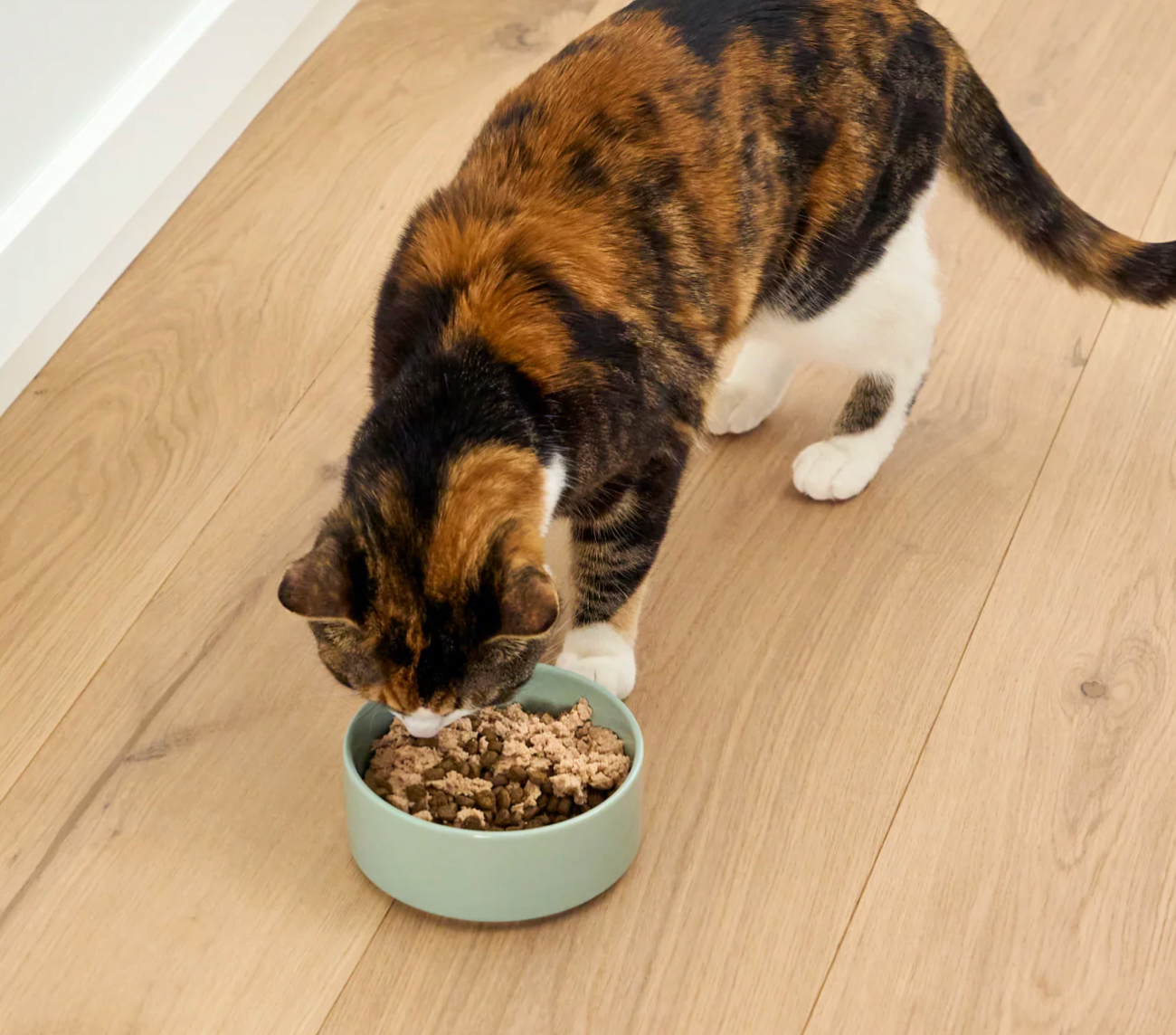 Open Farm Cat Grain Free Arctic Char Topper 3.17 oz
