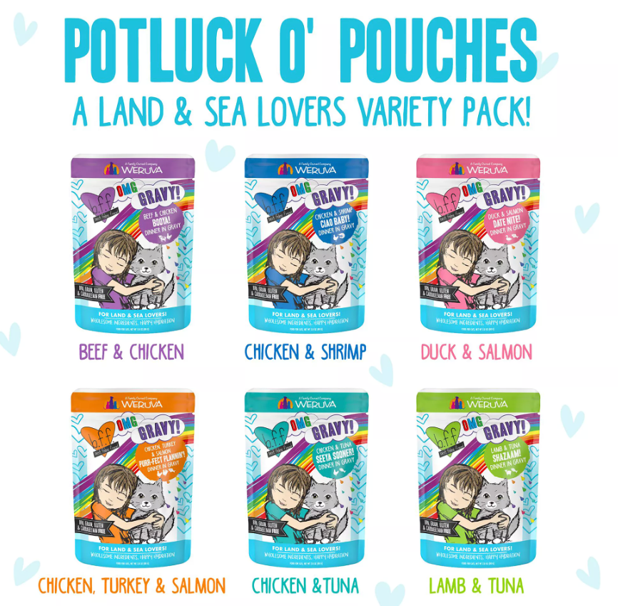 Weruva BFF CAT OMG GRAVY POTLUCK O' 2.8oz POUCH