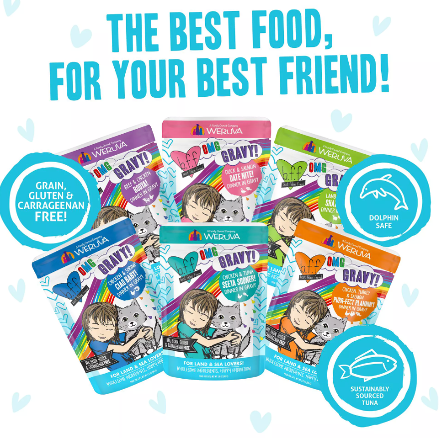 Weruva BFF CAT OMG GRAVY POTLUCK O' 2.8oz POUCH