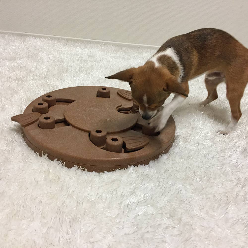 Nina Ottosson Dog Worker Interactive Dog Puzzle Composite