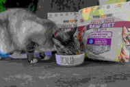 Boss Cat Freeze Dried Raw Diet - Pork (9oz)