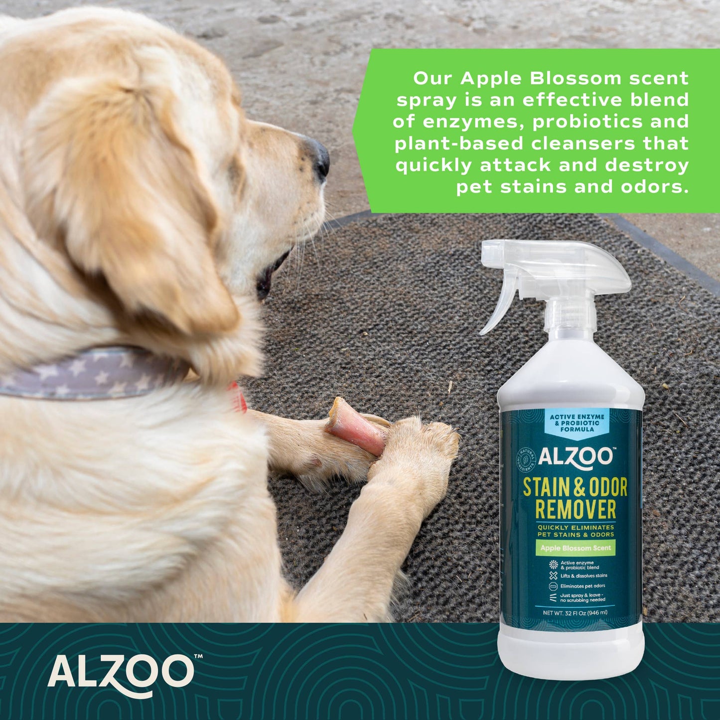 ALZOO Enzymatic Stain & Odor Remover Apple Blossom, 32oz