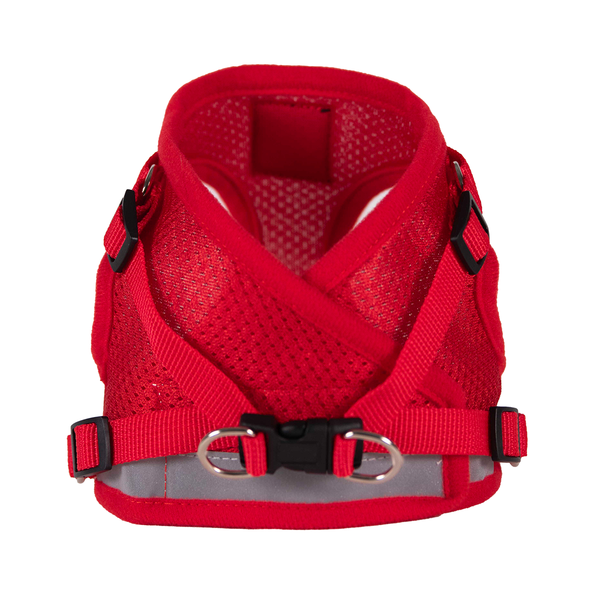 "The True Adventurer" Reflective Cat & Kitten Harness