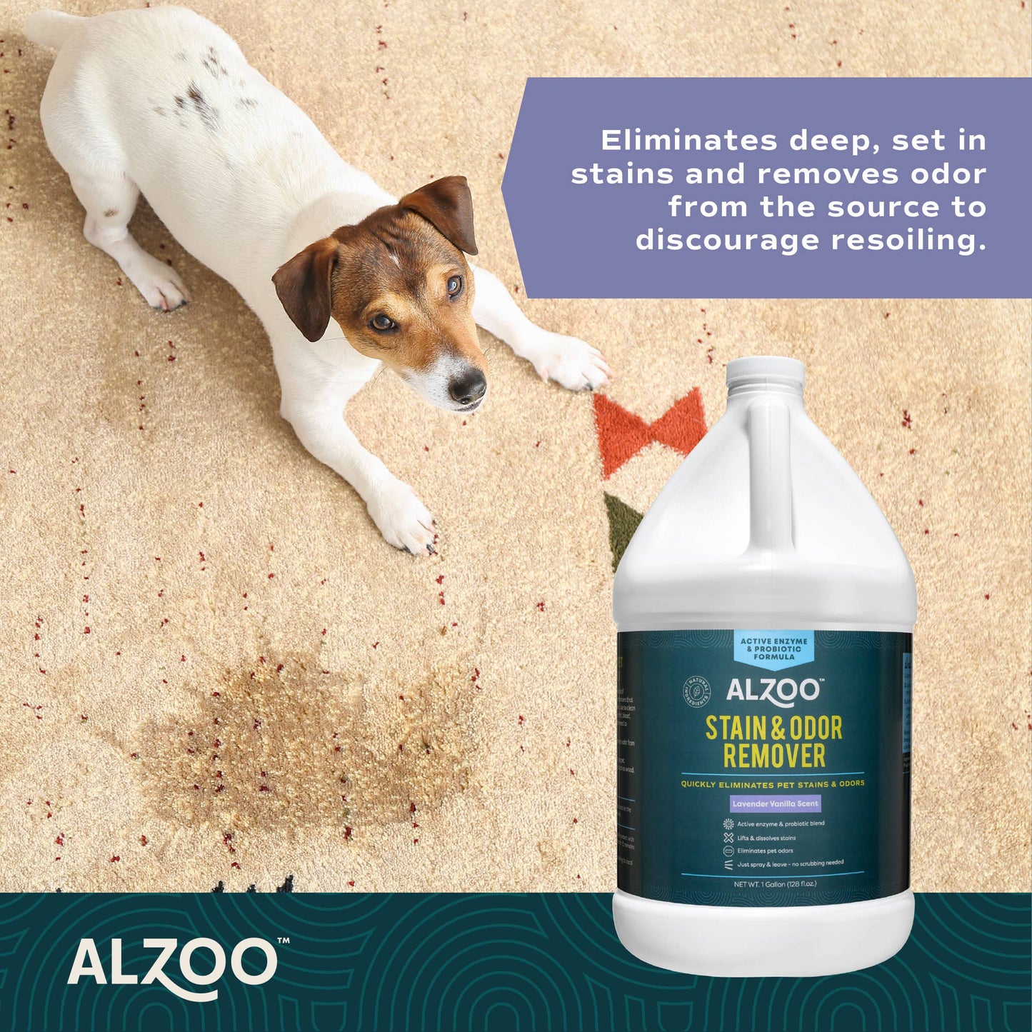ALZOO Enzymatic Stain & Odor Remover Lavender, 32oz