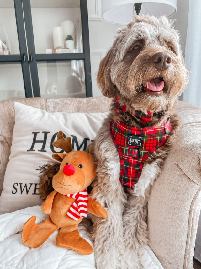 Midlee Christmas Reindeer Plush Dog Toy with Scarf