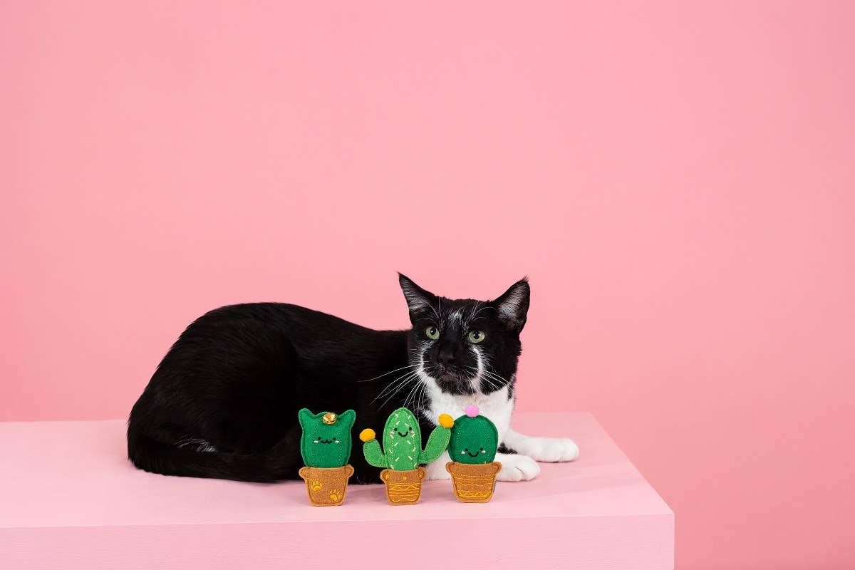 PetShop by Fringe Studio Cat-us Friends Cat Toys Set 3pc