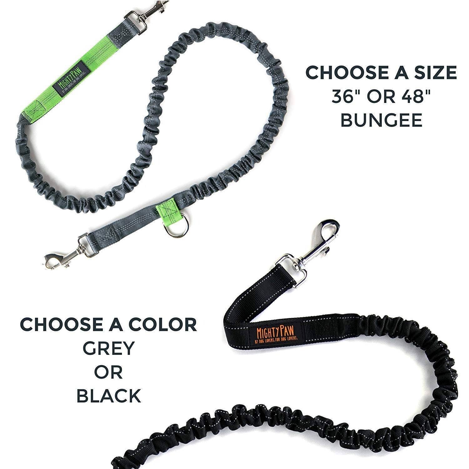 Hands Free Bungee Leash Set