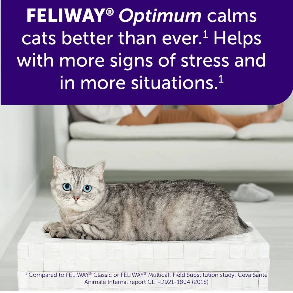 Feliway Optimum Cat Enhanced Calming Pheromone Diffuser Kit