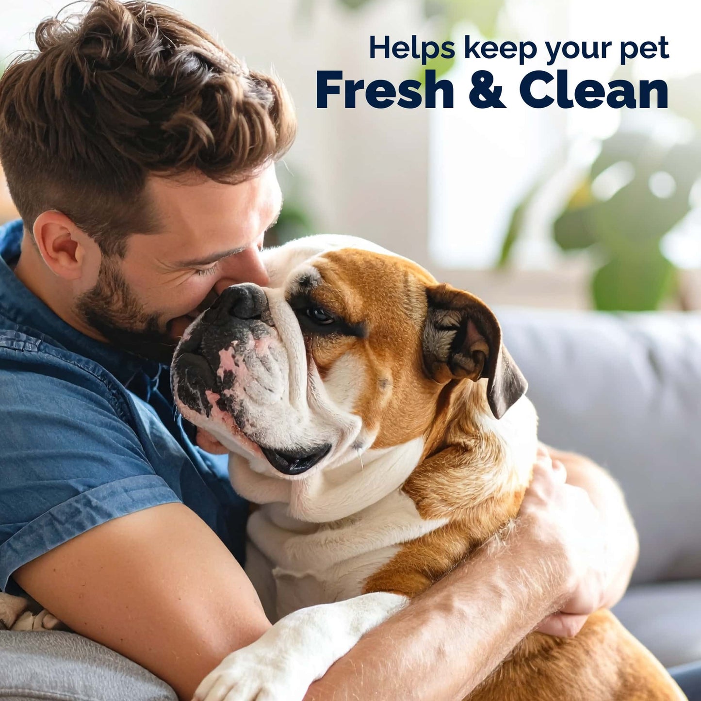 Glandex Rear End Pet Wipes Package