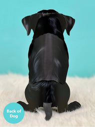 Black Lab (1 Pop-up Greeting Card)
