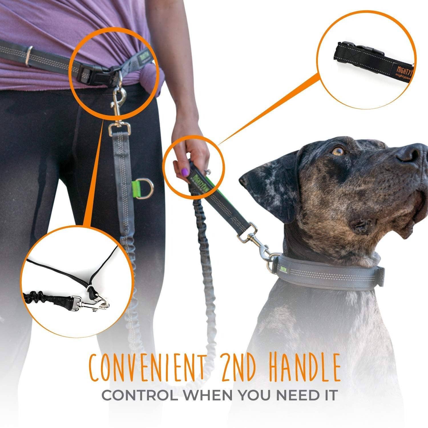Hands Free Bungee Leash Set