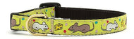 Up Country- SZ 12 Say Cheese Cat Collar