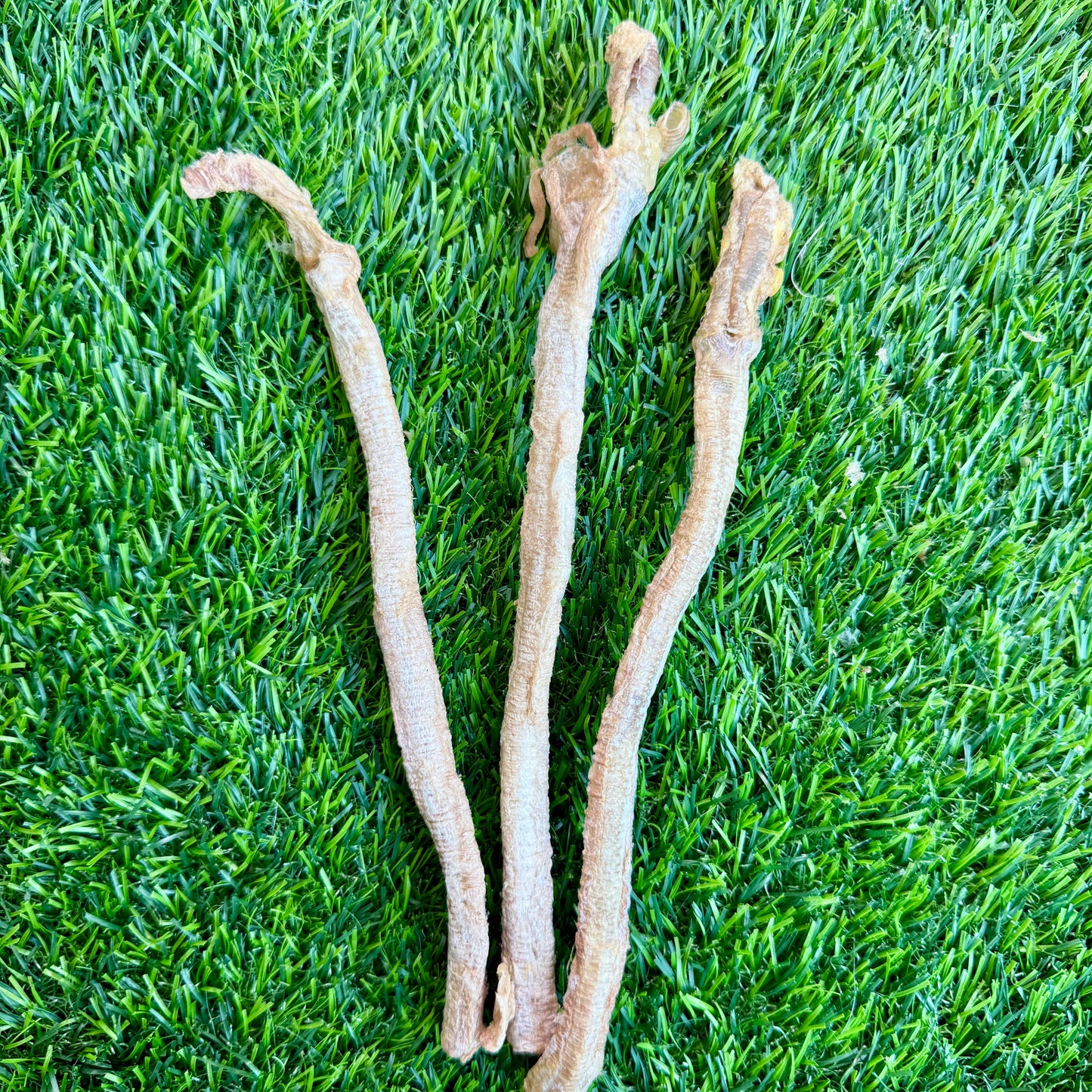 Duck Tracheas - Bag of  20 -  for Cats, Puppies, Small Dogs