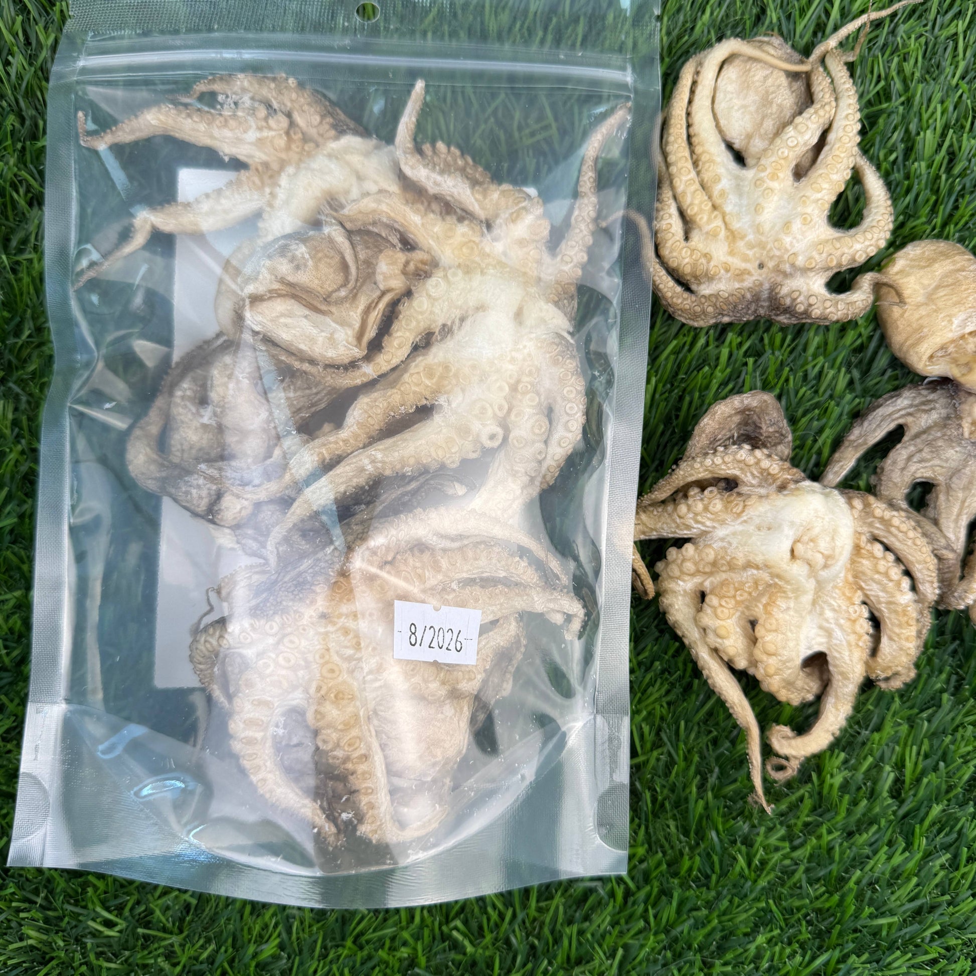 Baby Octopus - Bag of 5 - Freeze Dried Treats for Dogs & Cat