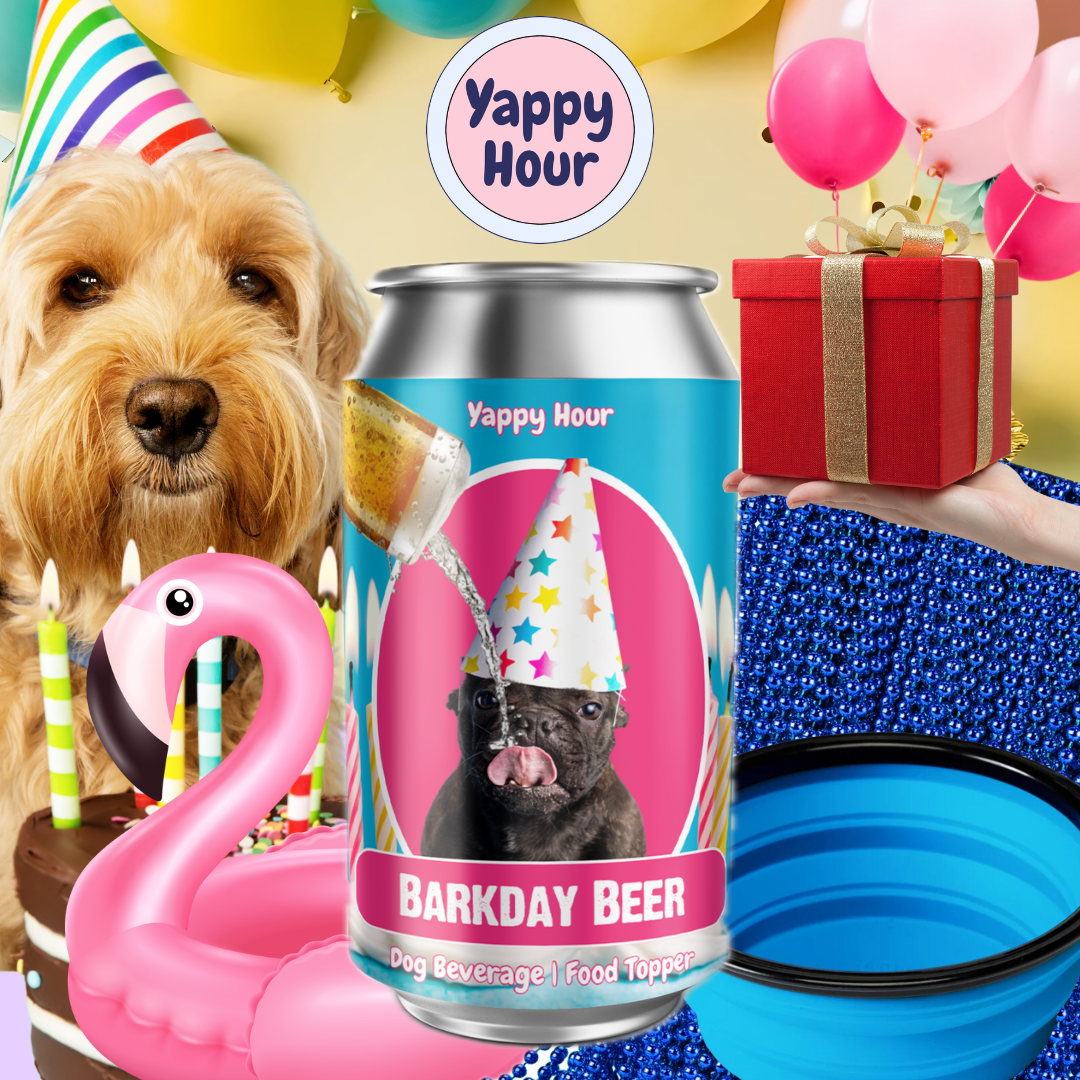 Barkday Beer |Watermelon