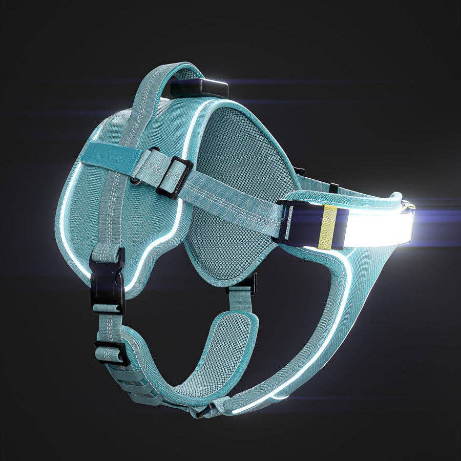 Lumi One - Lighting Your Path at Night!