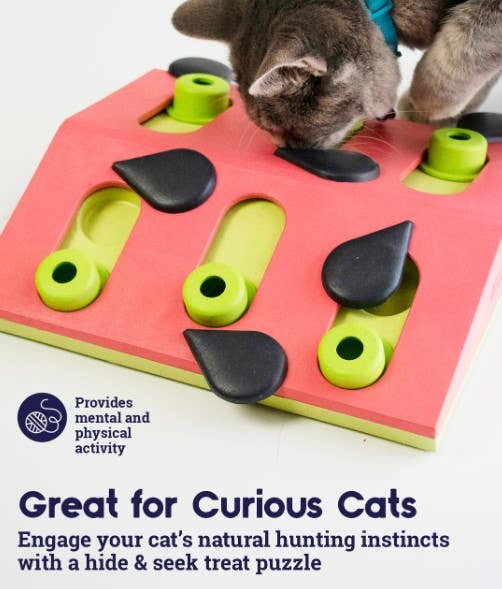 Catstages Melon Madness Puzzle Cat Toy Pink