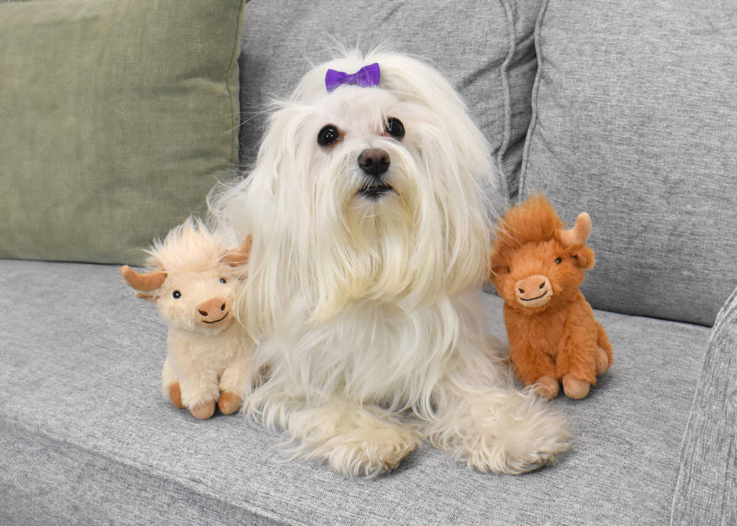 Multipet Minipet Highland Cow Dog Toy 5" Assorted 1ct