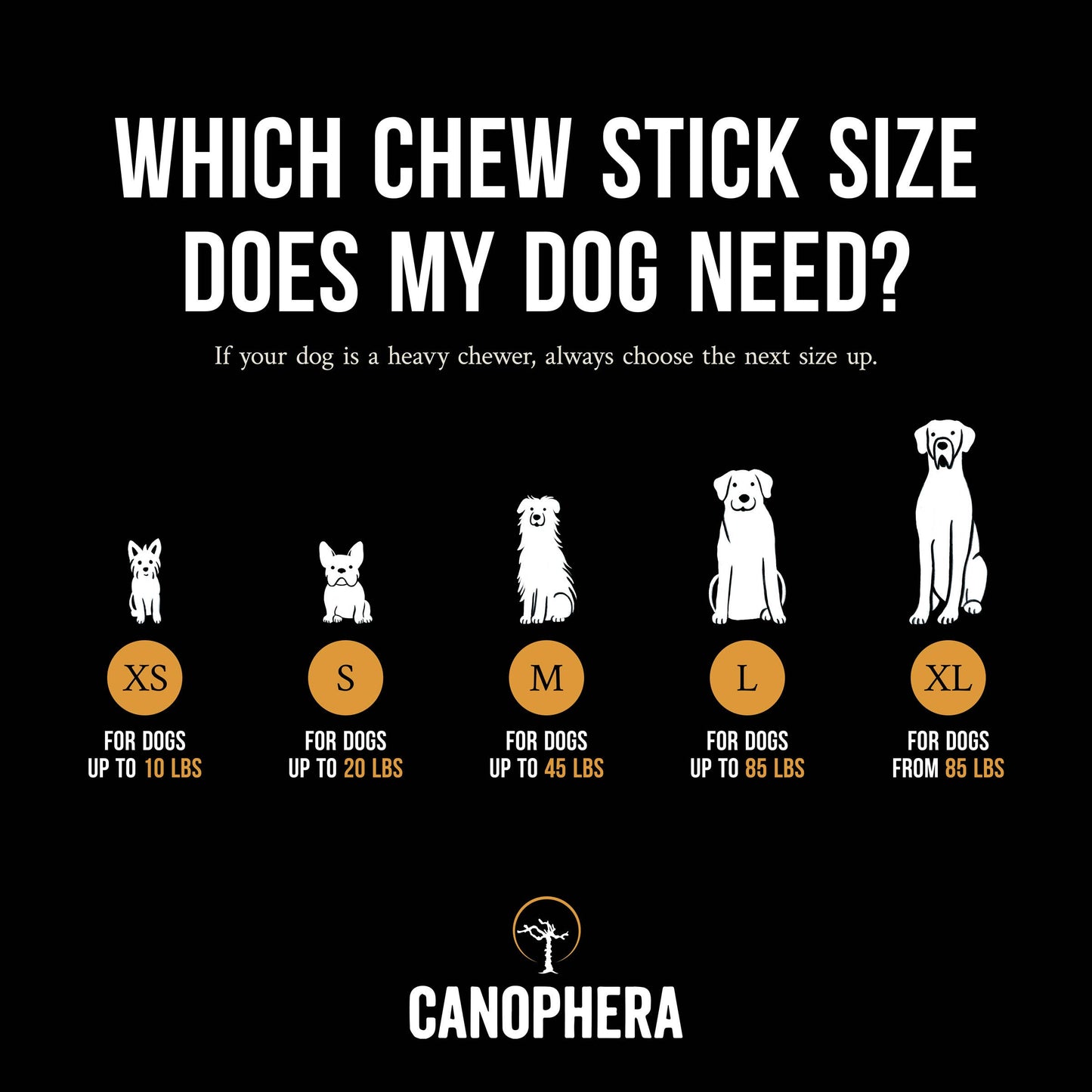 Coffee Wood Dog Chews 1 ct random