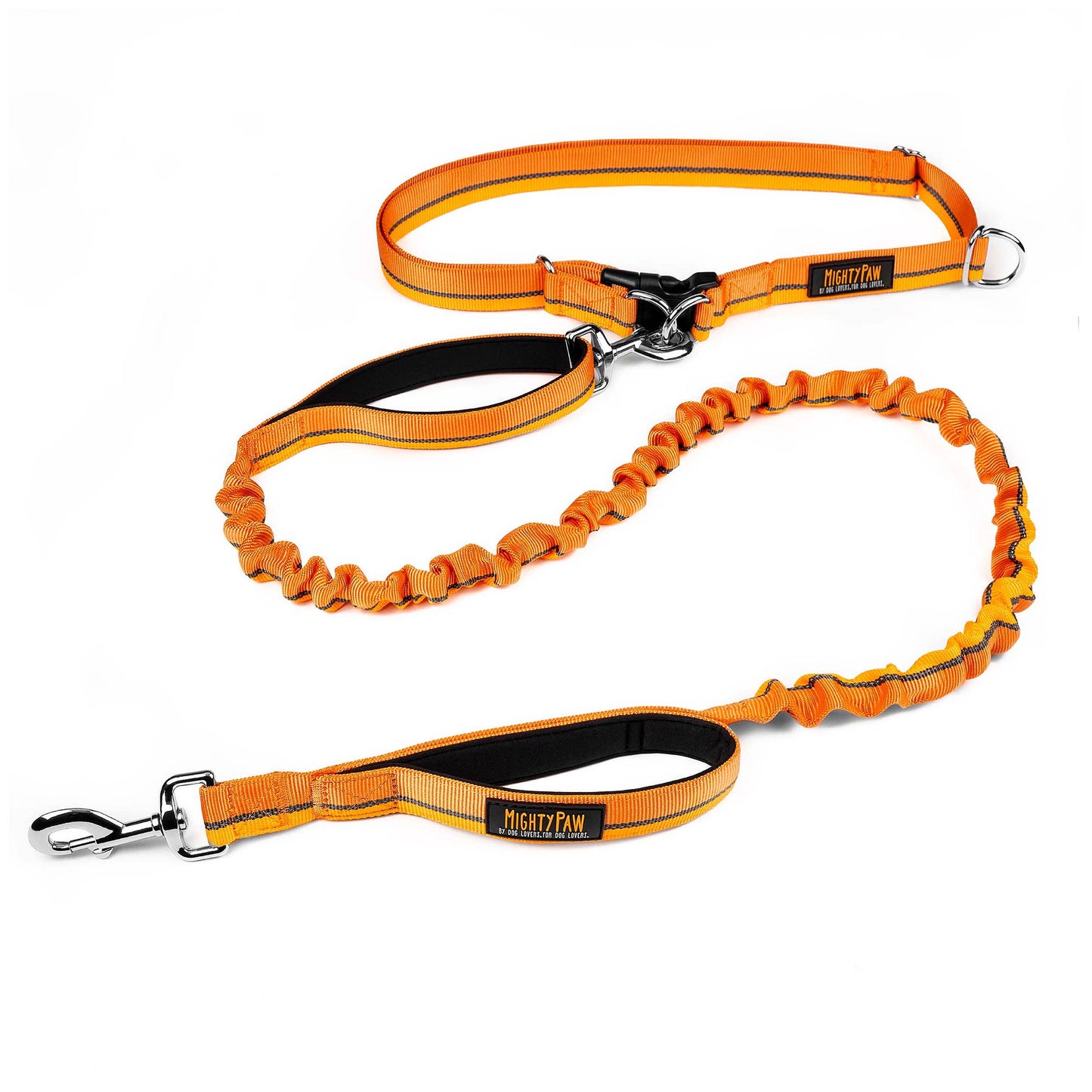 Hands Free Bungee Leash 2.0