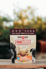 Boss Dog Proballs - Chicken (3 oz) dogs and cats treat
