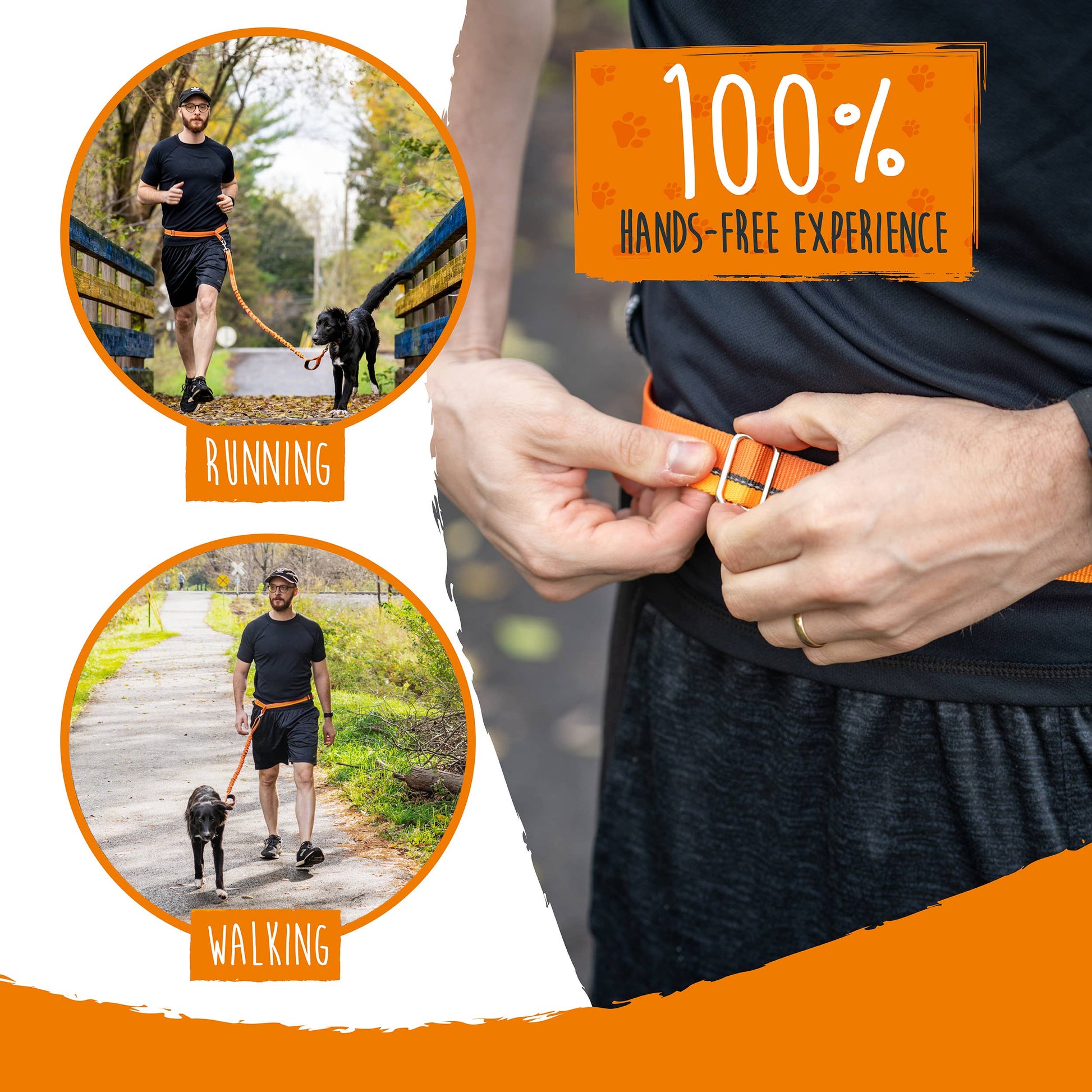 Hands Free Bungee Leash 2.0