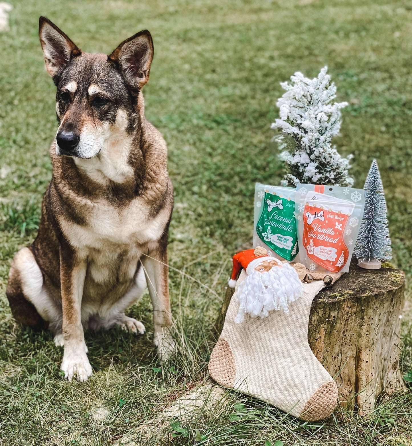 Lazy Dog Coconut Snowballs Stocking