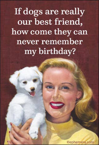 MAGNET: If dogs are really our best friend,