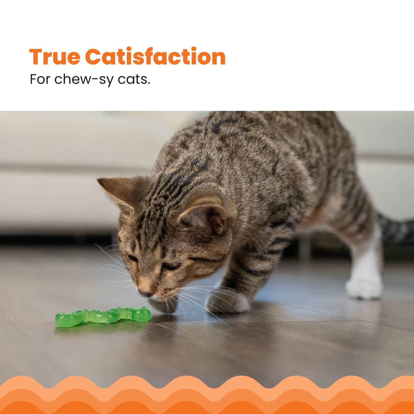 Catstages Orkakat Wiggle Worm Dental Catnip Cat Chew Toy