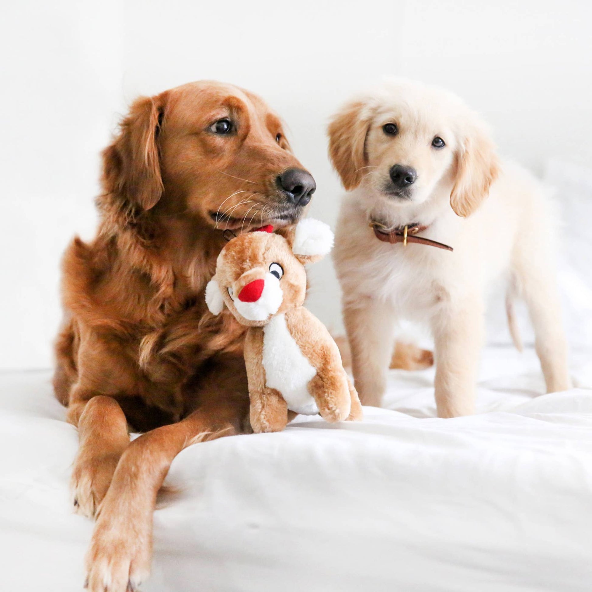 ZippyPaws Holiday Deluxe Reindeer