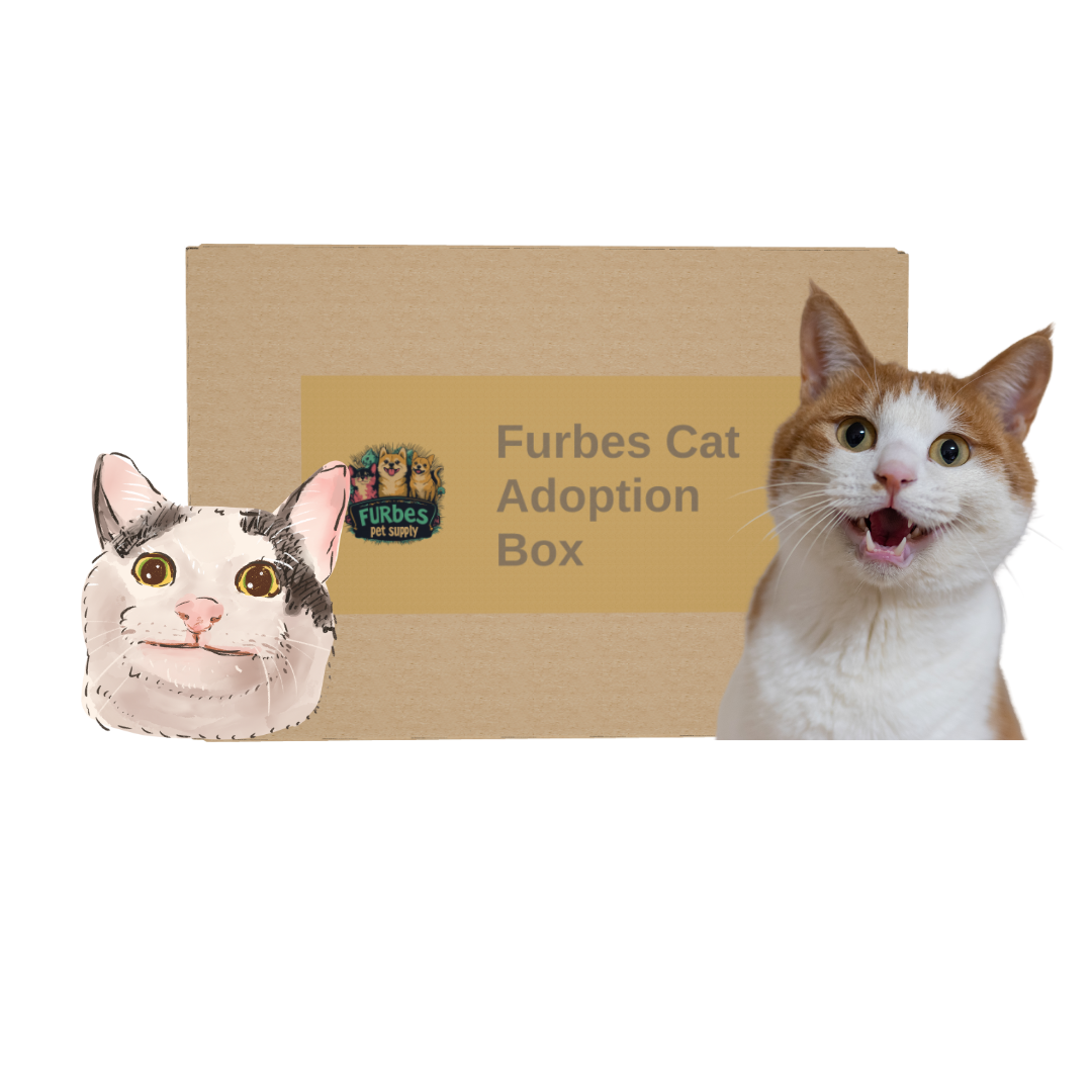 Furbes Cat Adoption Box