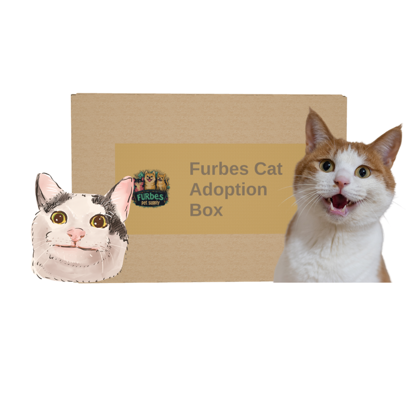 Furbes Cat Adoption Box