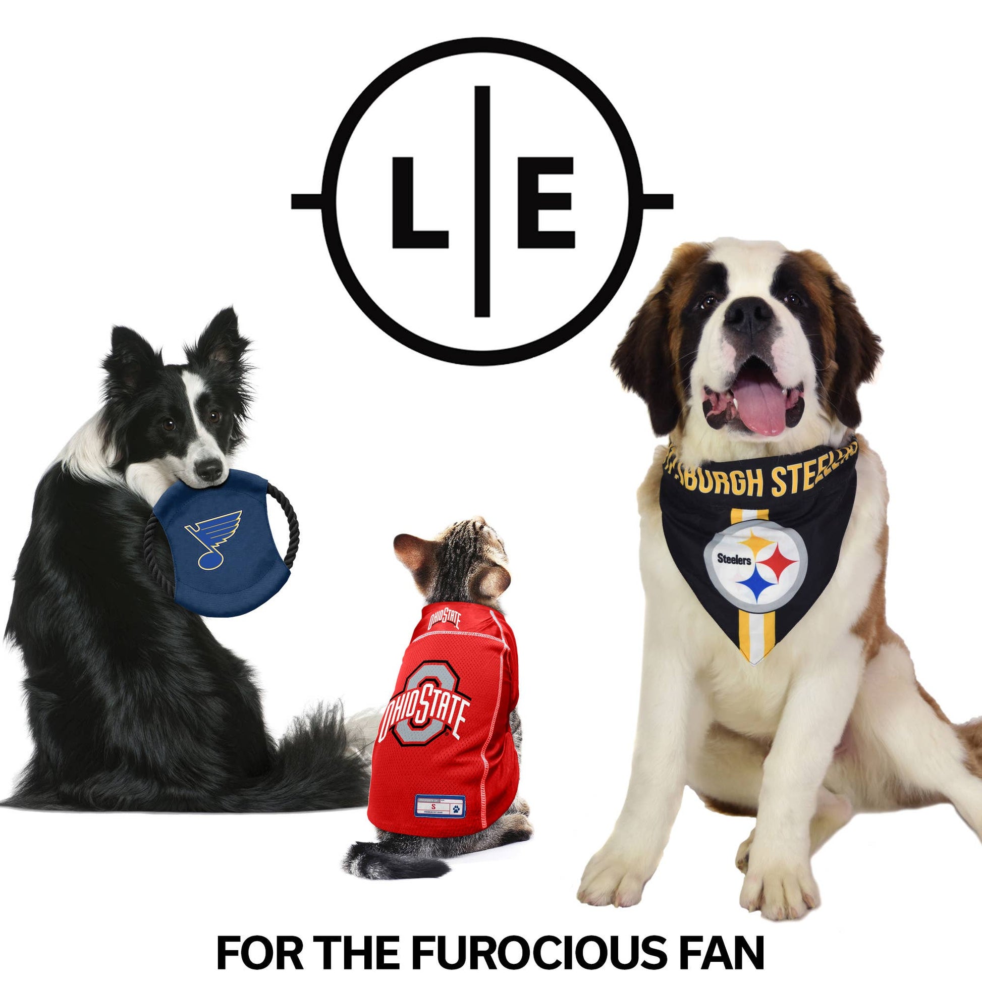 NFL Pittsburgh Steelers Tough Chewer Pet Ball