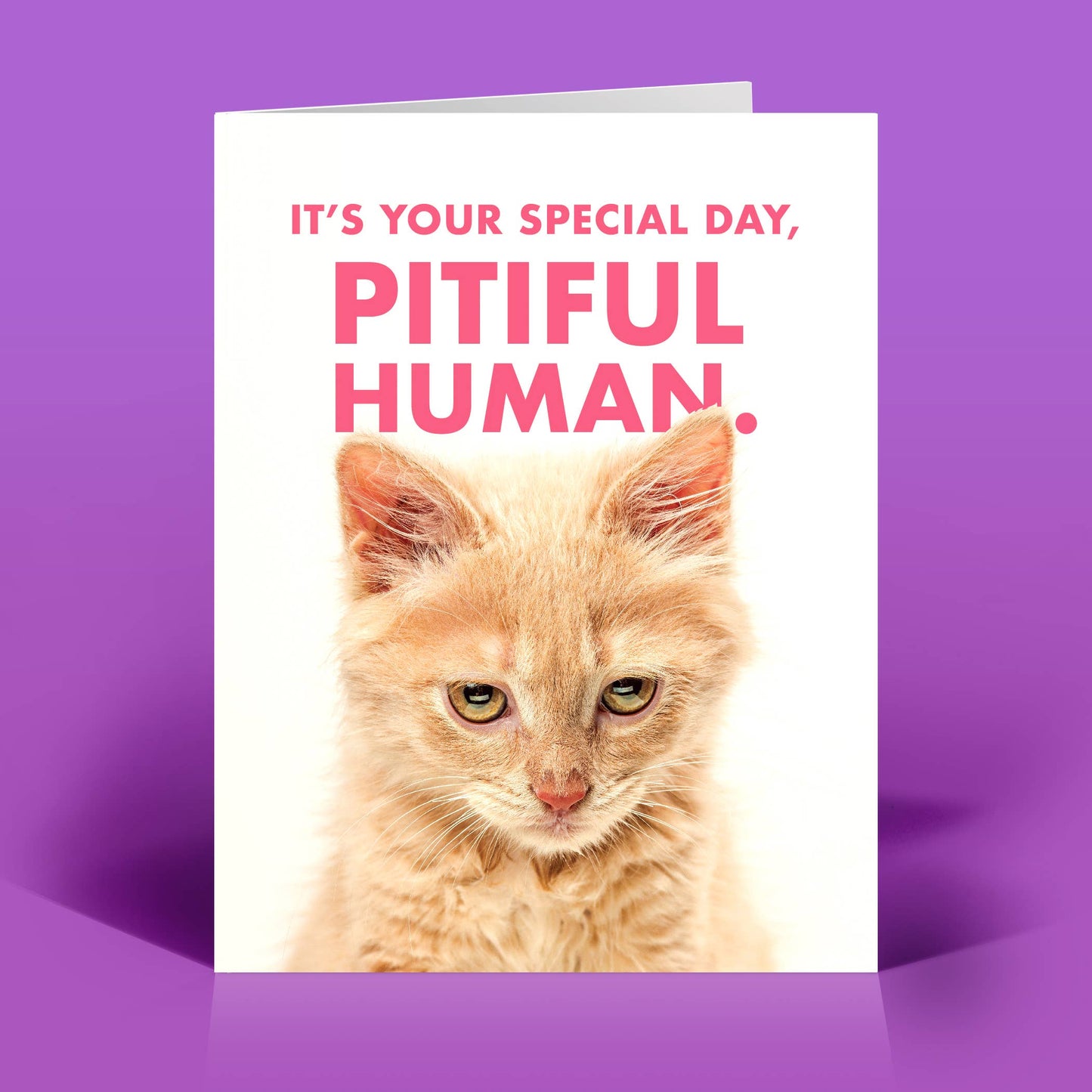 The Raccoon Society - Stupid Human Celebration Card