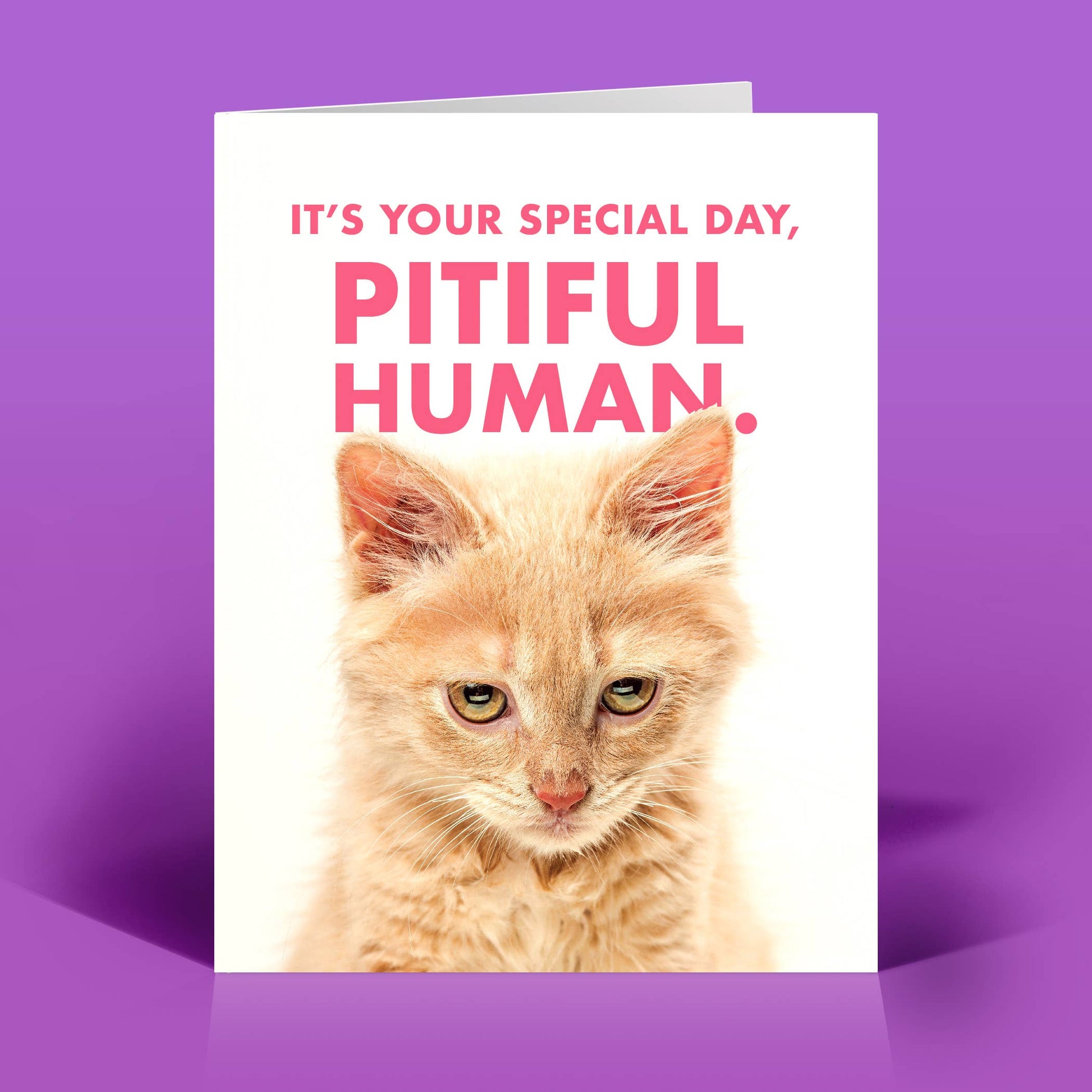 The Raccoon Society - Stupid Human Celebration Card