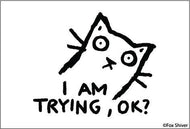 MAGNET: I AM TRYING OK
